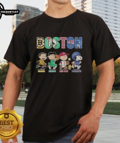 Nice Peanuts Characters T-Shirt featuring Boston Bruins, Celtics, Red Sox, and Patriots logos for sports fans.