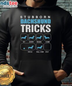 Adorable stubborn Dachshund showcasing tricks while wearing a 'Nice Stubborn Dachshund' hoodie, perfect for dog lovers.