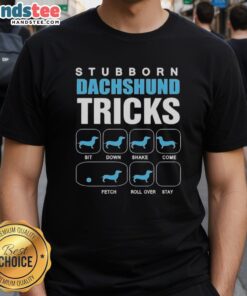 Funny Nice Stubborn Dachshund Tricks T-Shirt featuring a playful dachshund graphic, perfect for dog lovers.