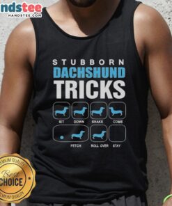 Nice stubborn Dachshund wearing a tank top showcasing fun tricks in a sunny backyard setting.
