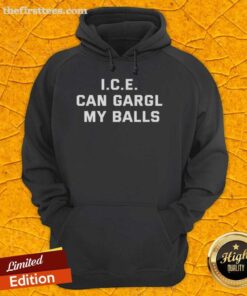 Alt Text: Official Gaming Disorder Pawg I.C.E. hoodie featuring bold graphics and unique design for gamers.