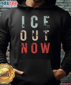 Minneapolis rally featuring activists wearing 'Abolish ICE' hoodies at the Official Ice Out Now event.