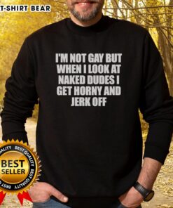 Alt Text: Original I'm Not Gay But When I Look at Naked Dudes I Get Horny sweatshirt design, perfect for humor and pride.