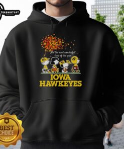 Alt Text: Premium Charlie Brown Sally Brown Snoopy Woodstock hoodie featuring Iowa Hawkeyes design for the holiday season.