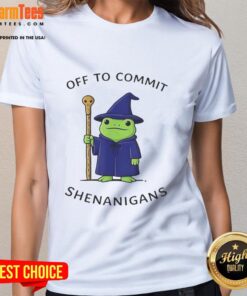 Premium Frog Wizard tee featuring a whimsical quote, perfect for ladies who love fun and magical shenanigans.