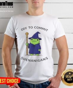 Premium Frog Wizard T-Shirt featuring a whimsical design and quote, perfect for fans of magical mischief and shenanigans.