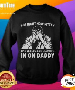 Premium Not Right Now Kitten sweatshirt featuring a playful design of a kitten with the phrase 'The walls are closing in on Daddy.'