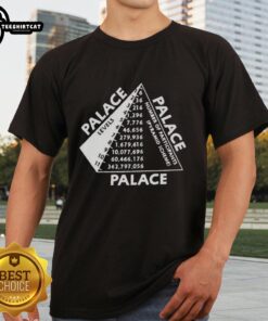 Premium Palace Scheme T-Shirt featuring a stylish design and high-quality fabric, perfect for casual wear.