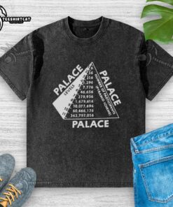 Premium Palace Scheme washed t-shirt in soft fabric, featuring a trendy design and comfortable fit for casual wear.