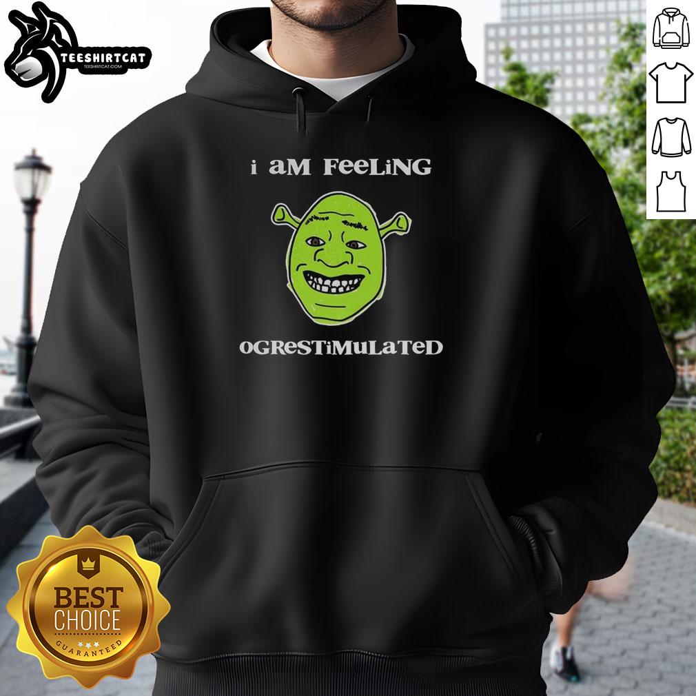 premium-shrek-i-am-feeling-ogrestimulated-hoodie Premium Shrek I Am Feeling Ogrestimulated Hoodie in vibrant green, featuring iconic Shrek graphics and cozy design.
