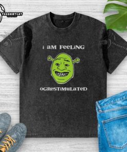 Premium Shrek 'I Am Feeling Ogrestimulated' washed t-shirt showcasing vibrant graphics and a comfortable fit.
