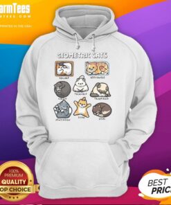 Colorful geometric cats hoodie featuring vibrant patterns and playful designs for cat lovers and fashion enthusiasts.
