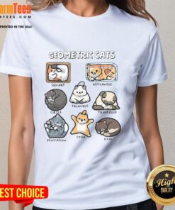 Pretty geometric cats ladies tee featuring colorful feline designs on a stylish women's shirt.