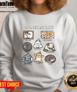Cozy Pretty Geometric Cats Sweatshirt featuring colorful cat designs in a modern geometric style, perfect for cat lovers.