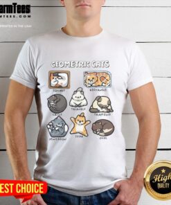 Pretty Geometric Cats T-Shirt featuring colorful cat designs in a modern geometric style for cat lovers.