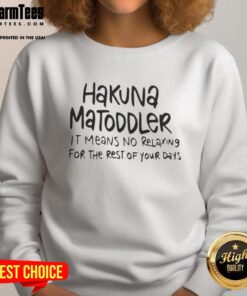 Alt Text: Cute toddler wearing a 'Hakuna Matoddler' sweatshirt, perfect for playful days without worries and relaxing moments.