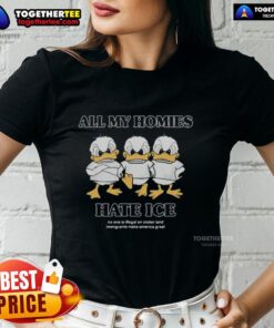 Alt Text: Larry Nance Jr. tee shirt design featuring 'All My Homies Hate Ice Ladies' slogan, perfect for basketball fans.