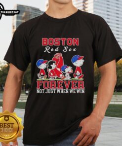 Pretty Snoopy and Charlie Brown Boston Red Sox baseball t-shirt design: 'Forever, Not Just When We Win' slogan.