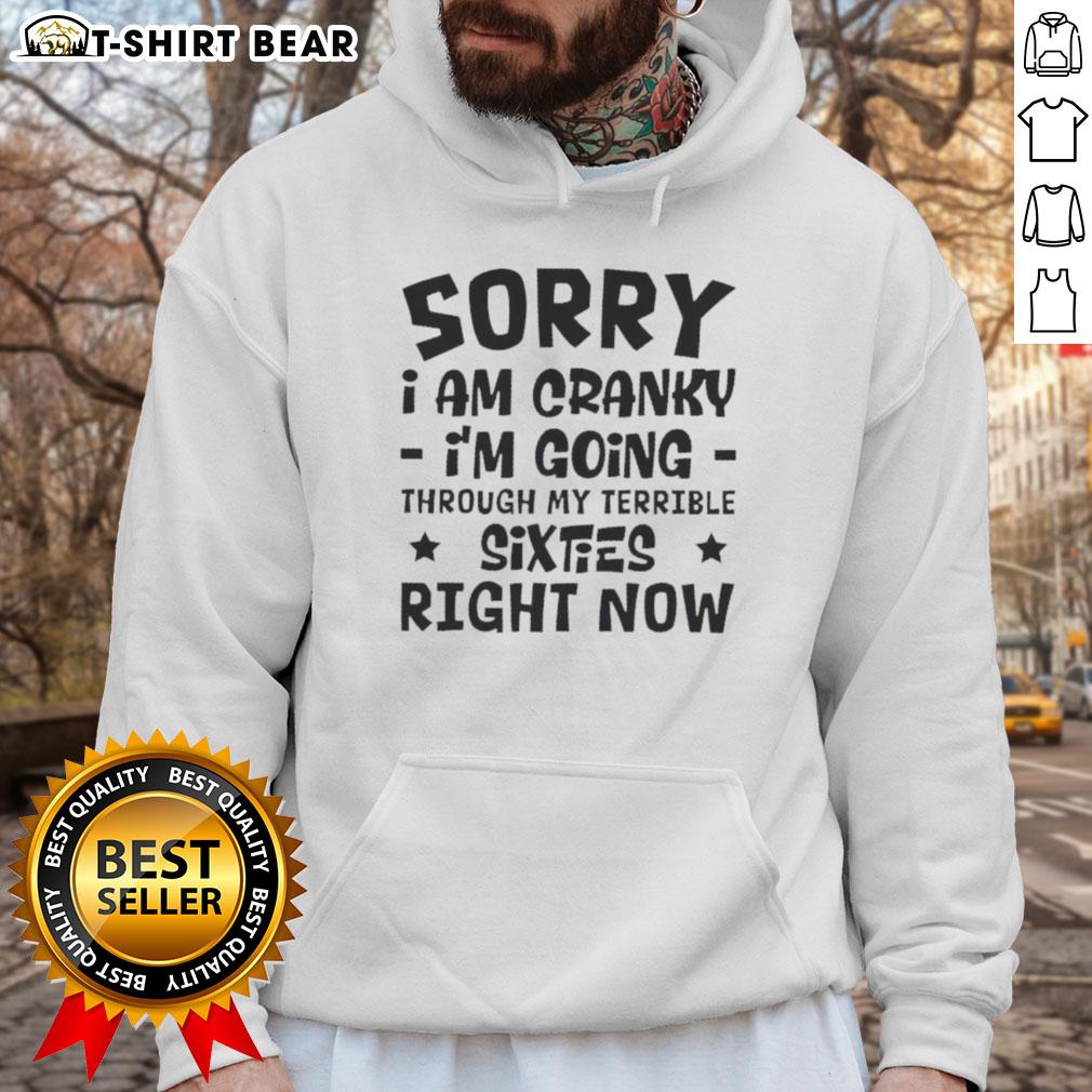Pretty Sorry I Am Cranky I'M Going Through My Terrible Sixties Right Now Hoodie Cozy hoodie with 'Pretty Sorry, I Am Cranky, I'm Going Through My Terrible Sixties Right Now' printed design.
