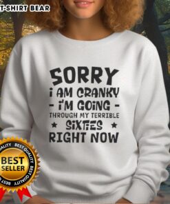 Cozy sweatshirt reading 'Pretty Sorry I Am Cranky, I'm Going Through My Terrible Sixties' - perfect for casual wear.