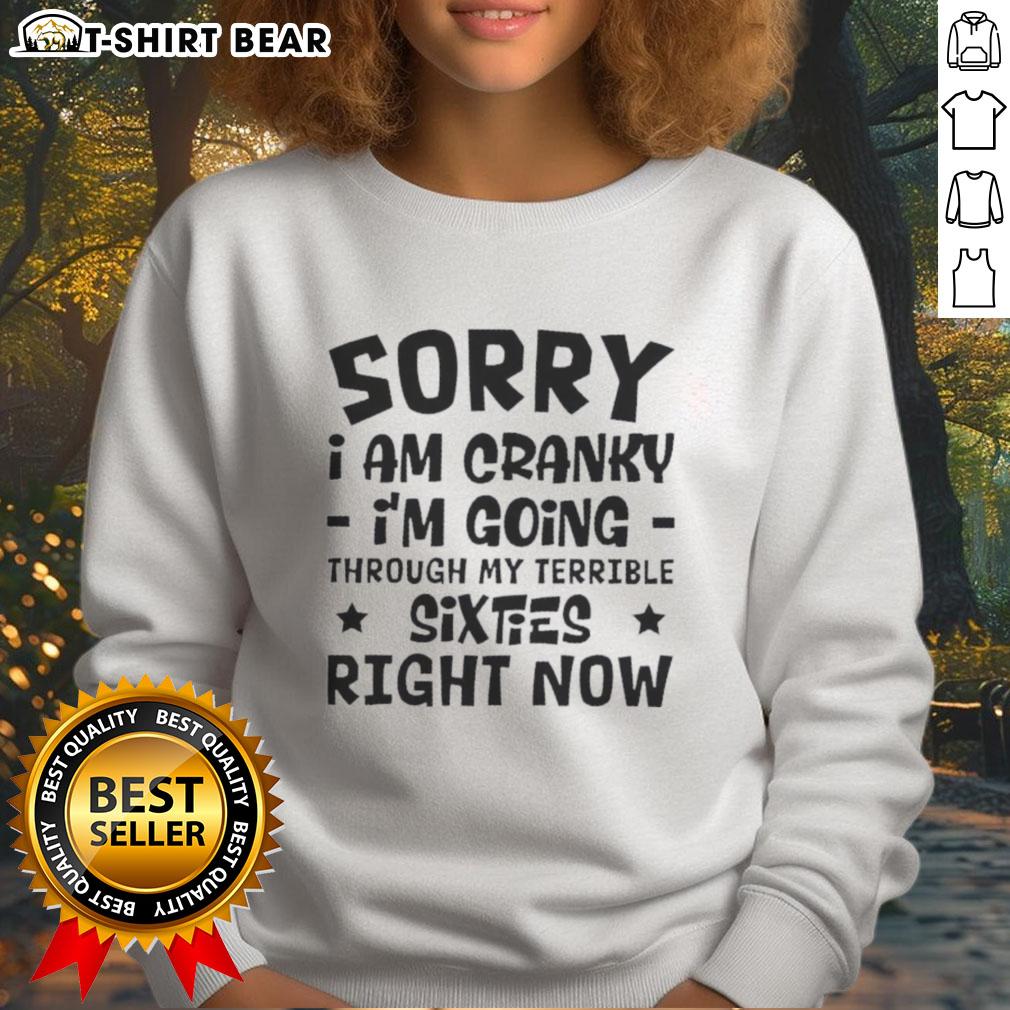 Pretty Sorry I Am Cranky I'm Going Through My Terrible Sixties Right Now Sweatshirt Cozy sweatshirt reading 'Pretty Sorry I Am Cranky, I'm Going Through My Terrible Sixties' - perfect for casual wear.