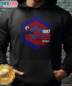 Alt Text: Pretty Stranger 1987 Stranger Things hoodie featuring Hawkins, Indiana design, perfect for fans of the series.