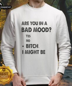 Casual sweatshirt featuring the phrase 'Are You In A Bad Mood? Bitch, I Might Be' in bold lettering, perfect for relaxed wear.