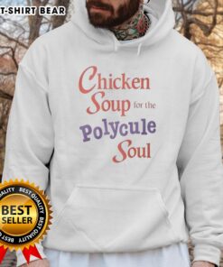 Cozy 'Top Chicken Soup for the Polycule Soul' hoodie featuring a vibrant design, perfect for warmth and style.