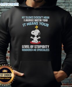 Top Peanuts Snoopy hoodie with quote: 'My silence doesn't mean I agree, it means your level of stupidity'.