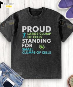 Alt Text: Top view of a proud large clump of cells symbolizing a washed t-shirt, showcasing vibrant colors and textures.