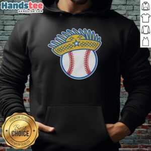 Premium Pava Baseball Puerto Rican Hoodie featuring vibrant colors and stylish design for fans and comfort.