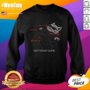 Funny 'Nice Not Today Cupid' cat sweatshirt with matrix bullet dodging design, perfect for cat lovers and Valentine's Day.