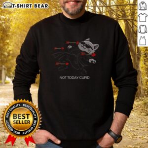 Premium Not Today Cupid Matrix Bullets Dodge Cat Sweatshirt featuring a playful cat design and trendy graphics.