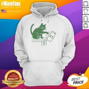 Funny cat wearing a hoodie with 'Abolish ICE' slogan, combining humor and political activism in a stylish design.