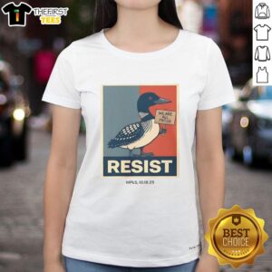 Top Minnesota Loon Resist Raglan Ladies Tee featuring a stylish loon graphic on a comfortable, trendy design.