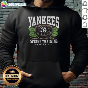 Good New York Yankees Grapefruit League hoodie featuring team logo and vibrant colors, perfect for baseball fans.