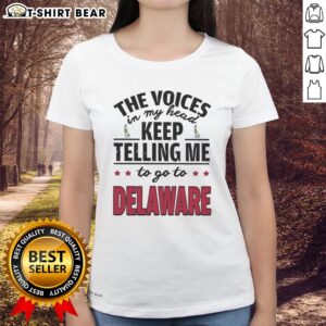 Official Voices In My Head Tee for Ladies featuring a humorous design about going to Delaware.