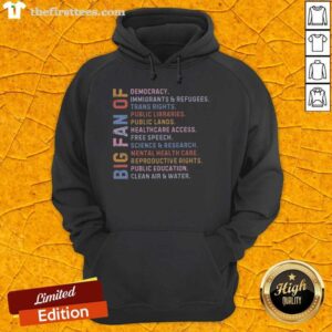 Pretty Big Fan of Human Rights Democracy Hoodie featuring a bold graphic design promoting human rights and democracy.