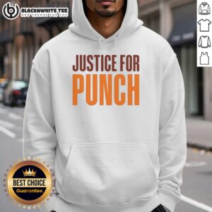 Good Justice for Punch The Monkey hoodie featuring vibrant graphics and a cozy design for fans of the classic game.