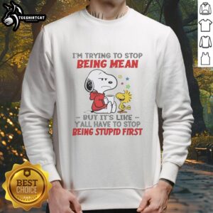 Alt Text: Original Snoopy sweatshirt featuring the quote about stopping mean behavior and addressing stupidity.