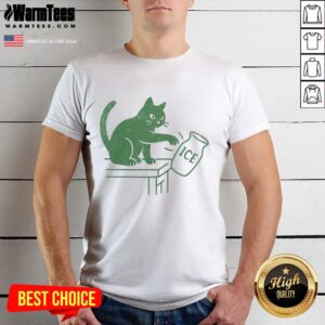 Funny cat graphic on a political T-shirt with 'Pretty Abolish Ice' slogan, perfect for animal lovers and activists.