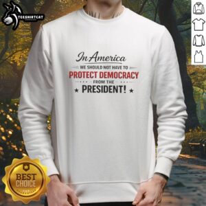 Nice in America sweatshirt featuring the slogan 'We Should Not Have to Protect Democracy from the President' in bold lettering.