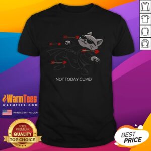 Nice Not Today Cupid Matrix Bullets Dodge Cat T-Shirt featuring a playful cat design dodging arrows in a vibrant graphic.