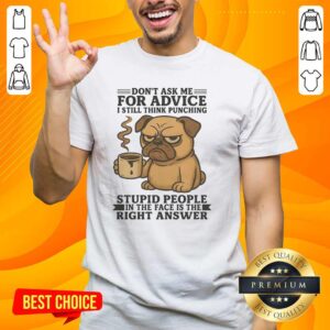Funny Hot Pug T-Shirt with slogan 'Don't Ask Me For Advice' and humorous graphic about punching stupid people.