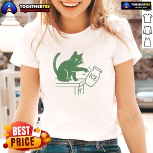 Funny cat graphic on a ladies tee with 'Abolish ICE' slogan, perfect for political activism and cat lovers.
