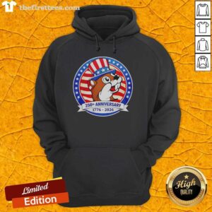Premium Buc-Ees Beaver 250th Anniversary hoodie featuring Uncle Sam, patriot symbols, and American flag design.