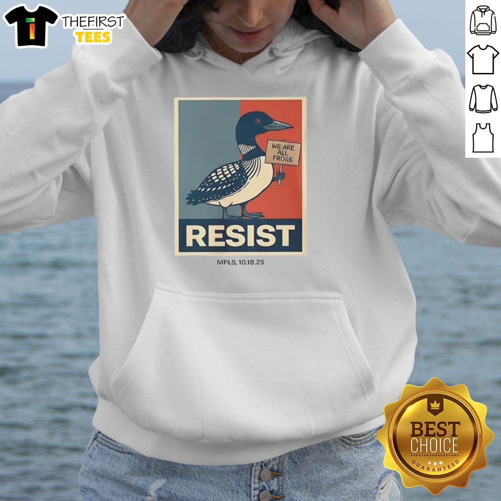 top-minnesota-loon-resist-raglan-hoodie Stylish Top Minnesota Loon Resist Raglan Hoodie featuring a unique loon design, perfect for outdoor enthusiasts.