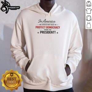 Nice in America hoodie featuring 'We Should Not Have to Protect Democracy from the President' slogan.