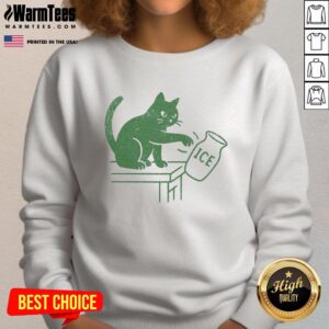 Funny cat graphic on a Pretty Abolish ICE political sweatshirt, blending humor and activism in fashion.