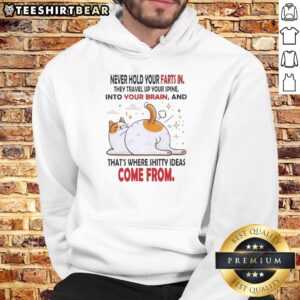 Funny hoodie design featuring a cat and the quote about farts and ideas, perfect for cat lovers and humor enthusiasts.